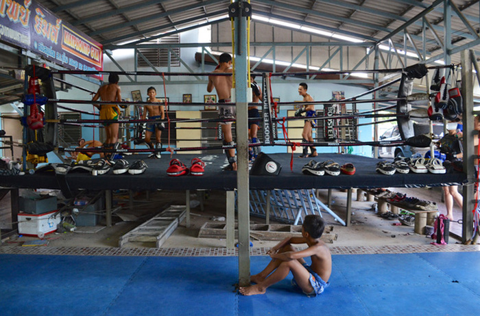 Программа тренировок по тайскому боксу
